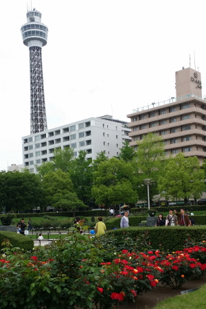 横浜・山下公園のバラ－横浜マリンタワーを背景に－東京・自由が丘のフラワーアレンジメント教室｜フラワードロップス