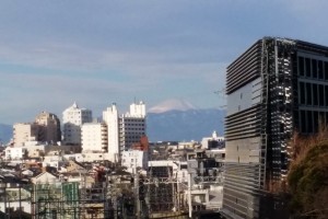お正月の富士山｜2015年1月2日｜東京・自由が丘のフラワーアレンジメント教室｜フラワードロップス