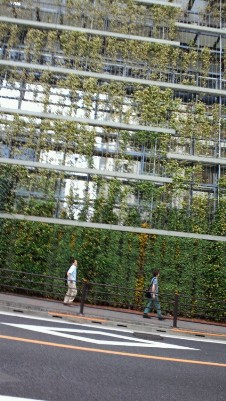 東急目黒線・大岡山駅の真上にある東急病院の外側に設置された緑のカーテン