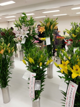 関東東海花の展覧会