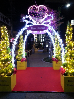 九品仏川緑道に飾られたクリスマスイルミネーション