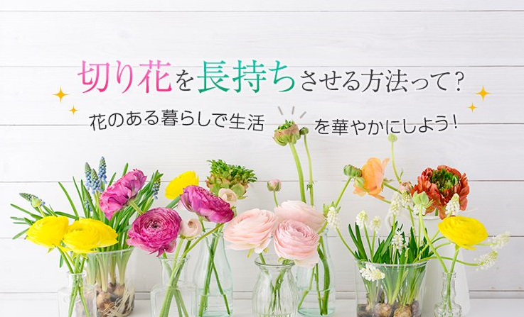 切り花を長持ちさせる方法,東急ベル,IENAKA,東京,自由が丘,フラワーアレンジメント教室,フラワードロップス